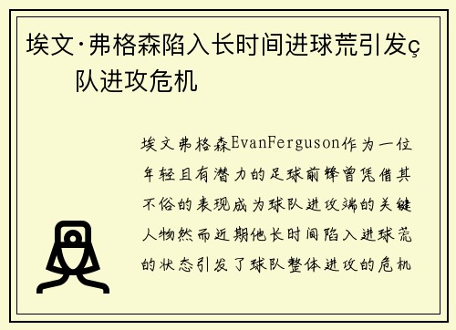 埃文·弗格森陷入长时间进球荒引发球队进攻危机
